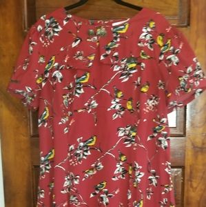 Hell Bunny Vixen 40's Style Bird Dress